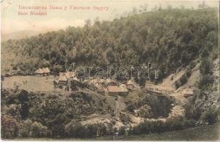 1911 Biostanska Banja, spa village, baths (EK)