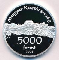 2008. 5000Ft Ag "Siklósi Vár" T:PP 
Adamo EM218