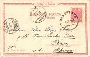 1899 Sokobanja, spa, Serbian church, fountain, waterfall, school, folklore. Art Nouveau, floral, lit...