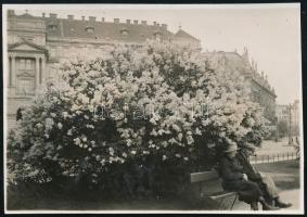 1929. május 15. Kinszki Imre (1901-1945) budapesti fotóművész hagyatékából jelzés nélküli, de a szerző által feliratozott, vintage fotó (Ez a szerző 186. számozott felvétele), 5,8x8,2 cm