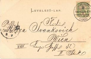 1904 Nagybecskerek, Zrenjanin, Veliki Beckerek; Casino kert. Schenk H. kiadása / park