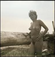 cca 1985 Akt a fotóművészetben, Menesdorfer Lajos (1941-2005) budapesti fotóművész hagyatékából 13 d...