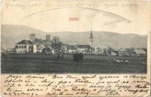 1903 Brinje, látkép, templom, Sokolac vára a háttérben / general view, church, castle ruins (EK)