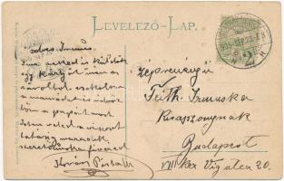 1905 Szatmárnémeti, Szatmár, Satu Mare; Deák tér, Pannonia szálloda, Székesegyház, Városi kioszk. We...