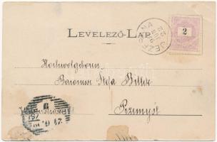 1899 Jezerane (Brinje), látkép, utca / general view, street view. Art Nouveau, floral (EB)