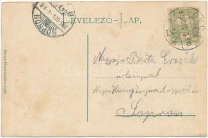 1905 Győr, látkép, Deák utca, Vasútállomás, Pályaudvar, Városháza. Kiadja Berecz Viktor. "Lepke...