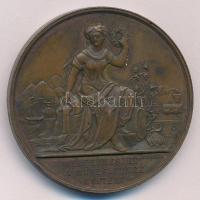 Wenzel Seidan (1817-1870) 1870. "A Magyar Orvosok és Természetvizsgálók - Aradon 1870 / A termé...