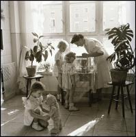 1956 Privát felvételek (nem a forr. eseményekről!), 43 db vintage NEGATÍV, a tároló tasakokon felira...