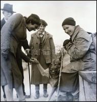 cca 1945 előtti privát felvételek, különböző forrásokból, változatos témákról, cca 500 db vintage NE...