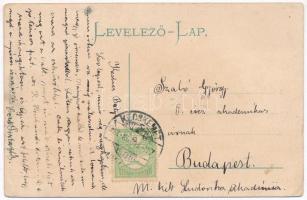 1908 Kecskemét, Katona József sétatér és nyári kaszinó, Katona József szobor, Városi bérpalota, Álla...