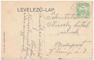 1911 Verőce, Nógrádverőce, Nógrád-Verőcze; Vasútállomás, gőzmozdony, Madari villa, Svadlo villa, nya...