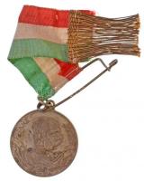1901. "A dolni miholjaci és görcsönyi hadgyarkolatra" Br emlékérem nemzetiszín mellszalagg...