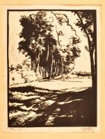 Arató jelzéssel: Fák. Fametszet, papír, 34×26 cm