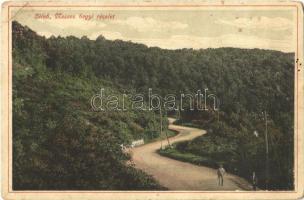 1918 Zilah, Zalau; Meszeshegyi részlet / road in the mountains (Rb)