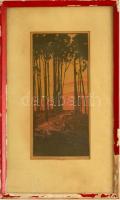 Olvashatatlan (orosz) jelzéssel: Erdőrészlet, színes fametszet, papír, sérült üvegezett keretben, 24x11 cm