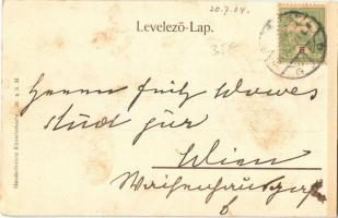 1904 Budapest I. Várbazár, Királyi vár. Taussig Arthur 3267. Hancolorirte Künstlerkarte Br. & S....