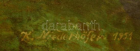 K. Niederhöfer jelzéssel: Hegyvidéki táj, olaj, vászon, foltos, keretben, 45,5x70 cm