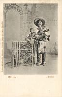 Mexican poultry-farmer
