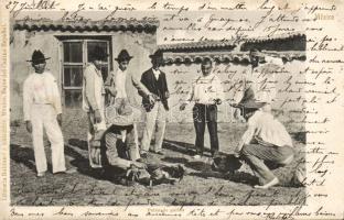 Mexican cock-fight (EB)