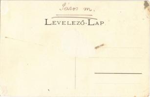 Zboró, Zborov; Száz hársfa, II. Rákóczi Ferenc kedvenc sétahelye. Divald Adolf 153. / promenade with...