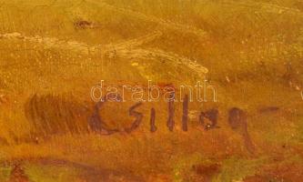 Csillag jelzéssel: Aratás. Olaj, vászon, 50×70 cm