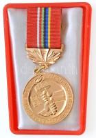 Szovjetunió 1978. Szojuz-gázvezeték építésének emlékére fém kitüntetés mellszalagon, tokban (37mm) T:1 Soviet Union 1978. For the Construction of the Main Natural Gas Pipeline Soyuz metal medal with ribbon, in plastic case (37mm) C:UNC