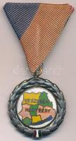 ~1970. Veszprém Megyéért ezüstözött, zománcozott kitüntetés mellszalagon T:2