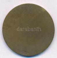 Berán Lajos (1882-1943) ~1930. "Országos Magyar Lövész Szövetség 1871" Br emlékplakett hát...