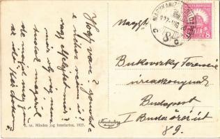 1927 Zamárdi-fürdő, Balatonhoz vezető sétány, Balaton szálloda, út a fürdőegyesület partfürdőjéhez, ...