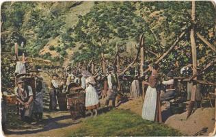 1918 Bolzano, Bozen (Südtirol); Weinlese in Südtirol / grape harvest in South Tyrol, folklore. Gerstenberger & Müller + M. kir. 40. honvéd tábori tüzér ezred K.u.K. Feldpostamt 608 (worn corners)