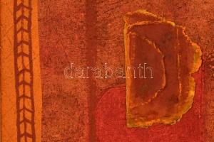 Székács Zoltán (1954-): Sierra. Vegyes technika, farost, jelzett, keretben, 30×30 cm