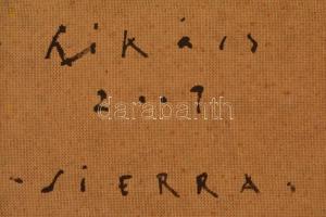 Székács Zoltán (1954-): Sierra. Vegyes technika, farost, jelzett, keretben, 30×30 cm