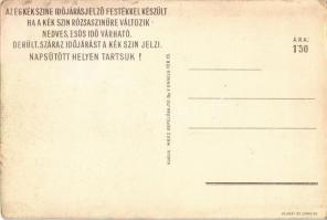 Az ég kék színe időjárásjelző festékkel készült, ha a kék szín rózsaszínűre változik nedves, esős id...