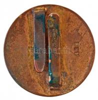 ~1930-1940. "M. KIR. RENDŐRSÉG DETEKTÍV" zománcozott Br jelvény, hátlapon "614"-...