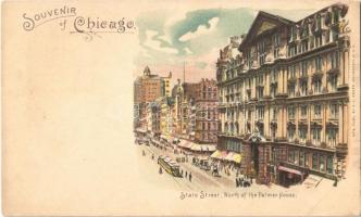 Chicago, State Street, North of the Palmer House. No. 5. E.C. Kropp litho