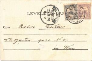 1900 Budapest I. Királyi vár, litho (EB)