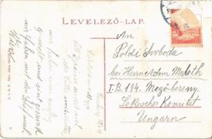 1917 Pozsony, Pressburg, Bratislava; vár, vasúti alagút, gőzmozdony, vonat / castle, railway tunnel,...