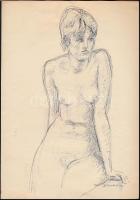 Endrő Margit (1899-1986): Támaszkodó női akt 1966. Toll, papír, jelzett, 29×21 cm