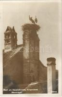 1931 Ruszt, Rust am Neusiedlersee; Storchidyll / Gólyafészek / stork nest (EK)