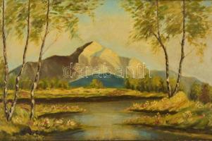 Sárai Ernő (1887-1957): Távoli hegycsúcs. Olaj, falemez, keretben,  31×63 cm