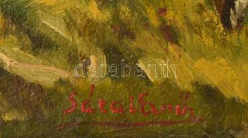 Sárai Ernő (1887-1957): Távoli hegycsúcs. Olaj, falemez, keretben,  31×63 cm