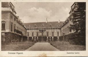 Pápa Eszterházy palace (fl)