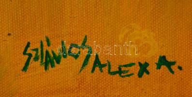 Szlávics Alexa (1962-): Ragadozó. Olaj, vászon, jelzett, keretben, 80×60 cm