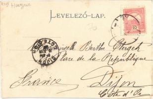 1900 Gyula, Gróf Almásy Dénes kastélya, kastélykert, park, csónakázók. Dobay János kiadása, litho (v...