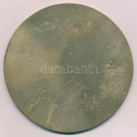 1971. "Székesfehérvár 1961-1971" egyoldalas, öntött Br plakett az 5. Hadsereg-parancsnoksá...