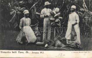 Jamaica harvesting jam