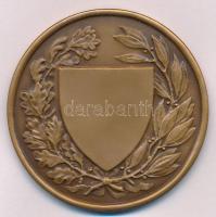 Berán Lajos (1882-1943) 1926. "Országos Testnevelési Tanács" kétoldalas, vert Br emlékérem...