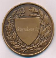 Berán Lajos (1882-1943) 1926. "Országos Testnevelési Tanács" kétoldalas, vert Br emlékérem...