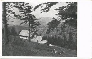 1940 Kassa, Kosice; Kárpát Egyesület Gölnicvölgyi Osztály Erika menedékháza a Kojsói-havason (1165 m) / Kojsovská hola / chalet, shelter