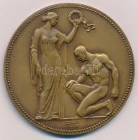 Berán Lajos (1882-1943) 1937. "BSZKRT Sportegyesülete 1912-1937" kétoldalas Br emlékérem (...